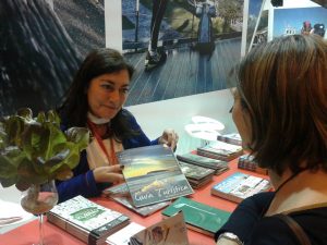 fitur 2
